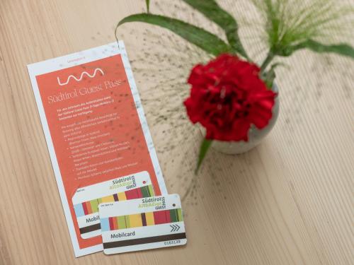 a vase with a red flower sitting next to a card at Dianthus Apartment in Lana