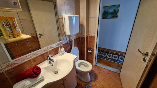 een badkamer met een wastafel, een toilet en een spiegel bij Piano Apartment in city center - Fully equipped - Free parking in Sarajevo
