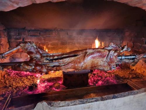 pieczonego indyka gotowanego w piecu ceglanym w obiekcie Kuća Breg w mieście Kalnik