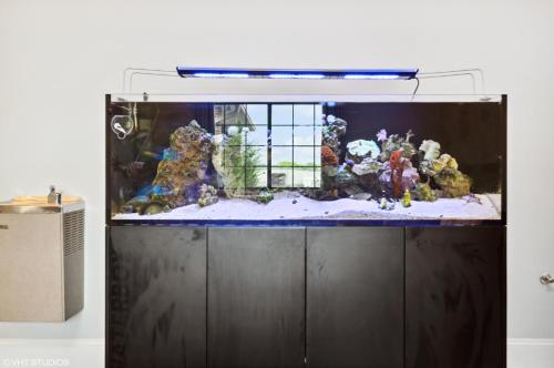 a fish tank on a stand in a room at My Hometown Inn in Mooresville