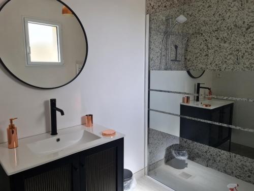ein Bad mit einem Waschbecken und einem Spiegel in der Unterkunft Les Loguyviennes in Ploubazlanec