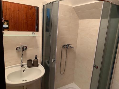 a bathroom with a shower and a sink at Chata na lúke in Tatranska Strba