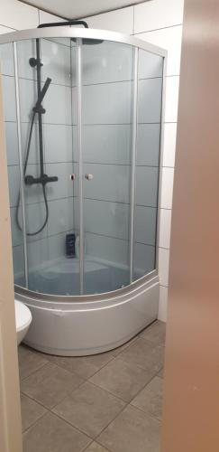 a glass shower in a bathroom with a toilet at Studio 2 in Dalen