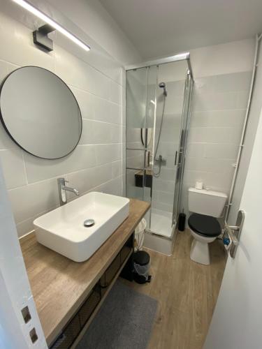 a bathroom with a sink and a toilet and a mirror at Taïcyté Beg Meil in Fouesnant