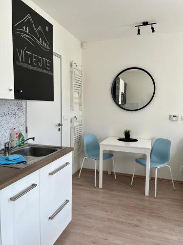 Kuchyň nebo kuchyňský kout v ubytování Nelis Apartment Klínovec