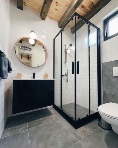 a bathroom with a shower and a toilet and a mirror at Zminica Lake House in Žabljak