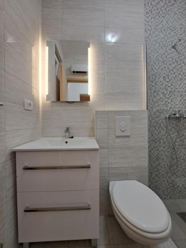 a bathroom with a white toilet and a sink at Flower in Poljica