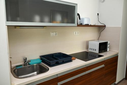 um balcão de cozinha com um lavatório e um micro-ondas em Lara Five em Hajdúszoboszló
