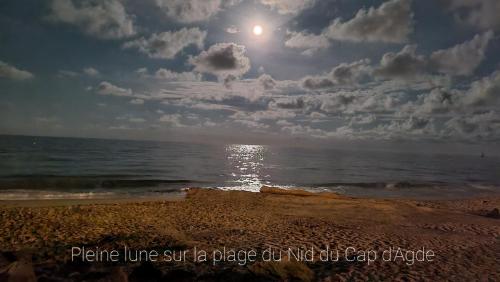 Résidence de standing la Pêcherie Spacieux T3 comme un cocon familial vue mer et sur l'avant port Sur le bout du bout de Cap d'Agde seule cap en Occitanie photo 24