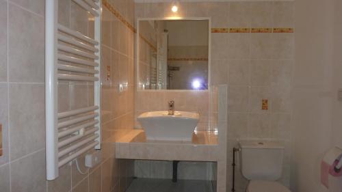 a bathroom with a sink and a toilet and a mirror at Gîte du Tilleul in Vienne