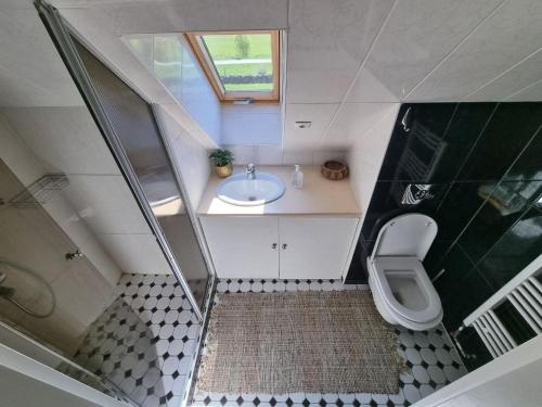 a small bathroom with a sink and a toilet at Cozy Country Side House in Kütke