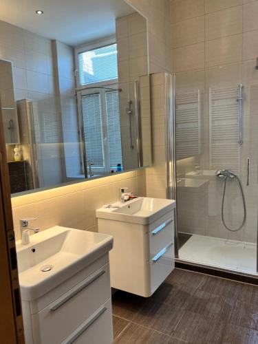 y baño con lavabo, ducha y bañera. en Joy Apartment en Sarajevo