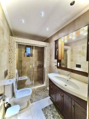 a bathroom with a toilet and a sink and a shower at Villa Skala Atalantis in Skála