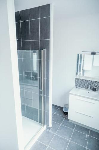 une salle de bain avec douche et lavabo dans l'établissement L'Alsace - tout confort, à Charleville-Mézières