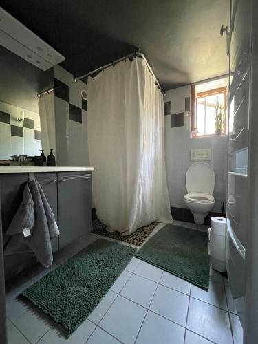 une salle de bain avec toilettes et rideau de douche dans l'établissement La Gaviota - gîte familial Le Bugue, au Bugue