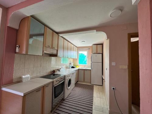 a kitchen with a sink and a dishwasher at Liza Apartment in Ulcinj