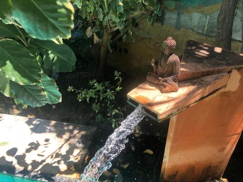 Guest House Lua – Photos 2