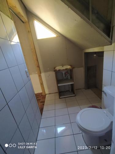 ein kleines Bad mit WC im Dachgeschoss in der Unterkunft Hospedaje Sauces - Cerro Chirripó in Herradura