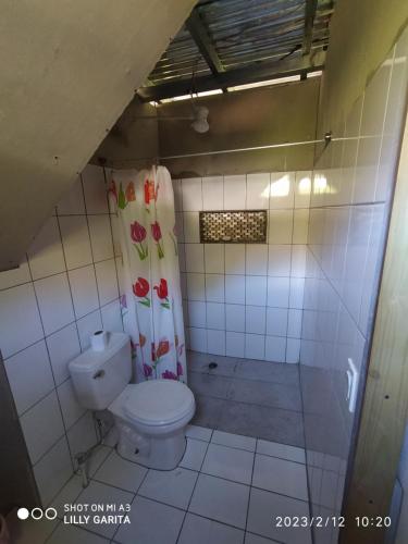 ein kleines Bad mit einem WC und einer Dusche in der Unterkunft Hospedaje Sauces - Cerro Chirripó in Herradura