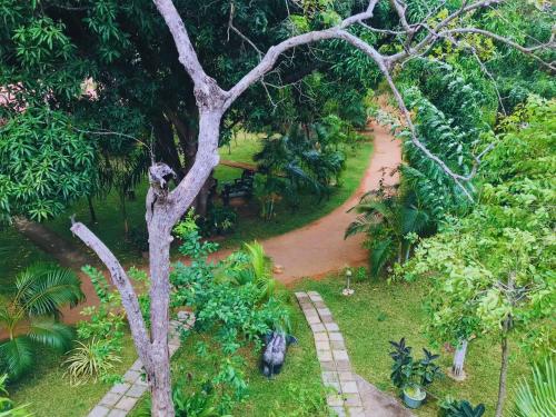 an aerial view of a garden with a dirt road at Sigiriya Ranasinghe Nature Villa & Cabana in Sigiriya