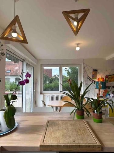 une cuisine avec une table et des plantes en pot dans l'établissement Maison familiale proche Strasbourg, à Illkirch-Graffenstaden