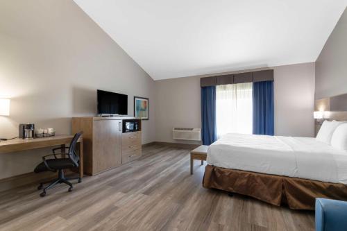 a hotel room with a bed and a desk and a television at Best Western Plus Downtown North in San Antonio
