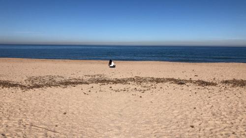 uma pessoa de pé em uma praia perto do oceano em ez house denia beach em El Verger