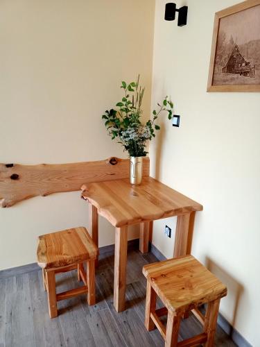 a wooden table with a potted plant and two stools at Wetlina Poza Trasą in Wetlina