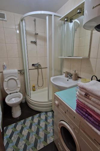 a bathroom with a shower and a toilet and a sink at Apartments by the sea Zuronja, Peljesac - 13202 in Putniković