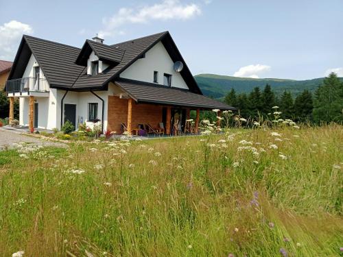 a house with a black roof and a field of grass at Wetlina Poza Trasą in Wetlina
