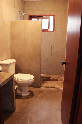 a bathroom with a toilet and a shower at Catre de mi corazón in Xalapa