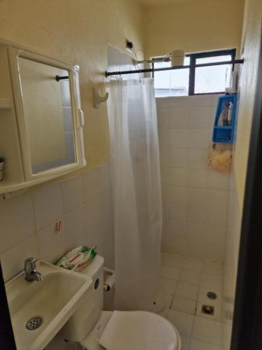 ein Bad mit einem WC, einem Waschbecken und einer Dusche in der Unterkunft GreenBike-Home in La Ceja
