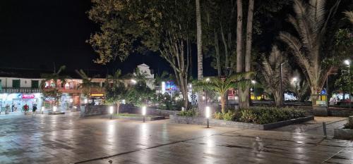 eine Stadtstraße in der Nacht mit Palmen und Lichtern in der Unterkunft GreenBike-Home in La Ceja