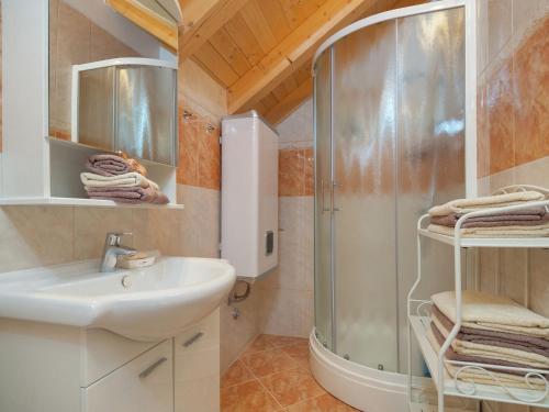 y baño con ducha y lavamanos. en Modern Villa in Grohote with Pool, en Donje Selo na Šolti