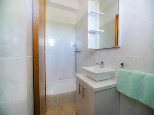 Bilik mandi di Holiday Home in Prkos with Private Pool