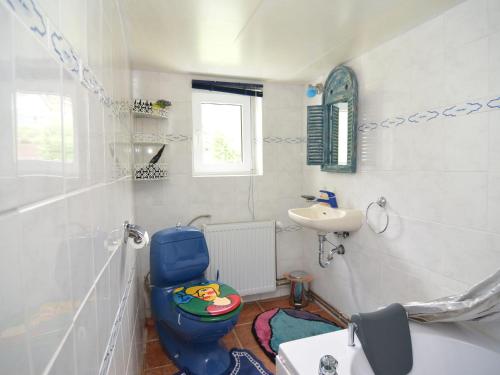 a bathroom with a blue toilet and a sink at Cosy holiday home in the Harz region in Herzberg am Harz