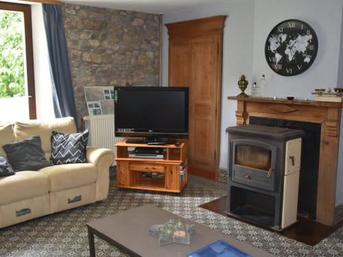 een woonkamer met een open haard en een televisie bij Nice g te with private garden in Br ly de Pesche in Couvin