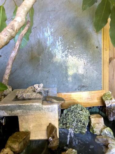 a model of a pond with rocks and a tree at Miami Bungalow Oasis near Everglades & The Keys in Cutler Bay