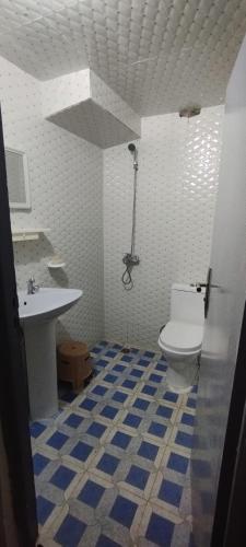 ein Bad mit einem WC und einem Waschbecken in der Unterkunft Studio meublé à imouzzer kandar in Imouzzer du Kandar