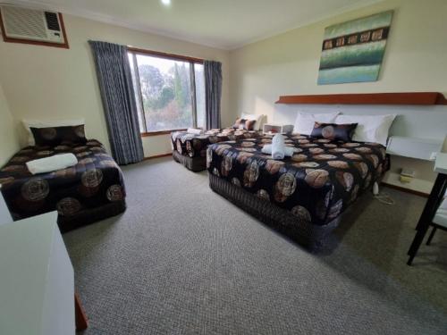 a hotel room with three beds and a window at Warragul Views Motor Inn in Warragul