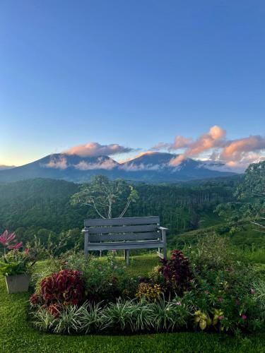 a bench sitting on top of a hill with flowers at Hotel Finca 360 in Marsella