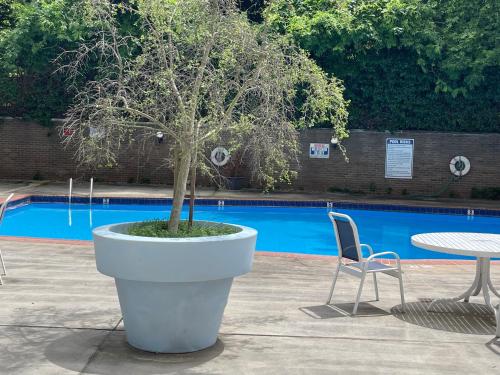 a tree in a large white pot next to a table and chair at Atlanta coz Home king/queen/Twin in Atlanta
