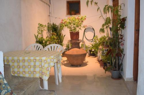 a room with a table and a vase with plants at Isidora Rooms in Rethymno