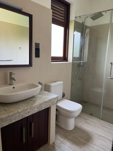 a bathroom with a sink and a toilet and a shower at Driftwood Villa in Pamunugama