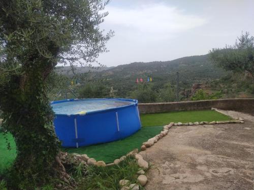 una gran bañera azul sobre un campo de césped en Casa Chorreón, en Letur