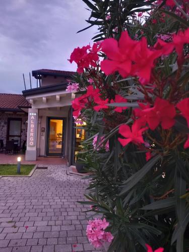 um grupo de flores em frente a um edifício em Albergo ai Sapori em San Daniele del Friuli