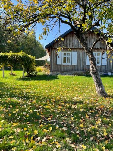 een boom voor een huis met bladeren op het gras bij Siedlisko pod Lipami in Lipniki