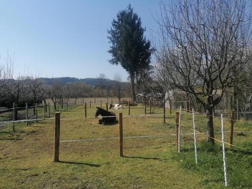una cerca con una vaca en un campo en Hof Notburga - Erholung, Ruhe & Natur pur, 