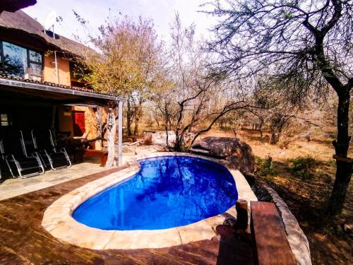 a swimming pool in a yard next to a house at Adventure Bush Villa in Marloth Park