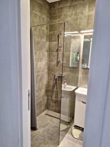 un baño con ducha y lavabo en Apartman Mia 2 Banja Luka, en Banja Luka